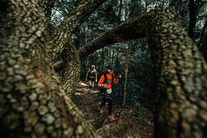 BIB: 
                            <button type="button" onclick="openModal(25703683)" class="btn btn-primary btn-sm float-right btn-popup" data-toggle="modal" data-target=".modal-high-quality">
                        <i class="fas fa-shopping-cart"></i> Add to Cart
                    </button>
                                            <button type="button" onclick="isThisMe(25703683, true)" class="btn btn-success btn-sm float-right btn-popup btn-isme hidden" data-toggle="tooltip" data-placement="bottom" title="นี่คือรูปของคุณใช่ไหม คลิกที่นี่เพื่อเอาเข้าอัลบั้ม">
                        <i class="fas fa-plus"></i> Add to album
                    </button>
                    <button type="button" onclick="isThisMe(25703683, false)" class="btn btn-warning btn-sm float-right btn-popup btn-isnotme hidden">
                        <i class="fas fa-ban"></i> Remove from album
                    </button>